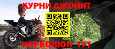 гашик Нальчик